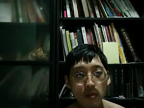 Lv8763 webcam