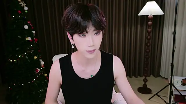 PiaoJunSun webcam