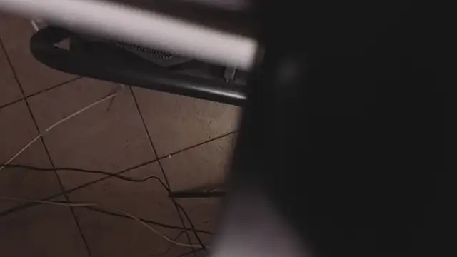 Fortuna-kitty webcam