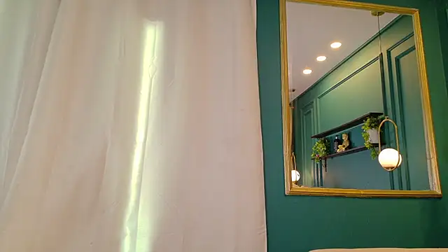 ale_cam webcam