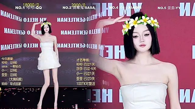TY-002 webcam