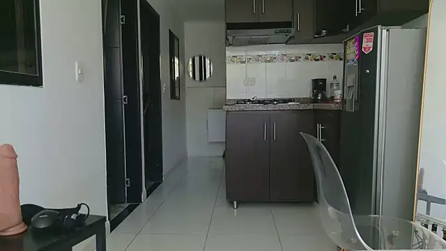grey___27 webcam