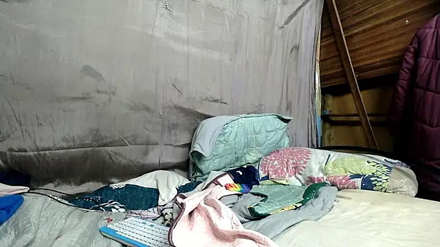Camodick webcam