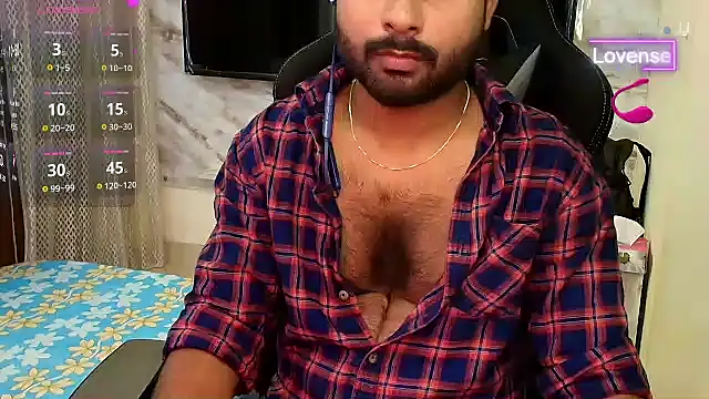 SilverShade3 webcam