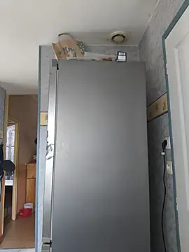 FlippantInsert webcam