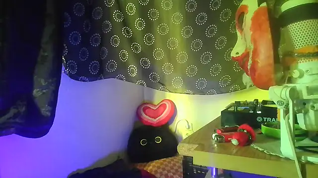 Guyst049 webcam