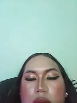 Demilame webcam