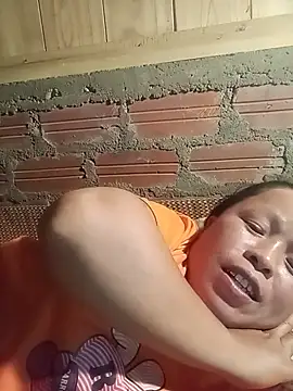 Ip34 webcam