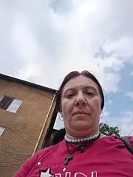 kotkite webcam
