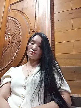 Td3di webcam