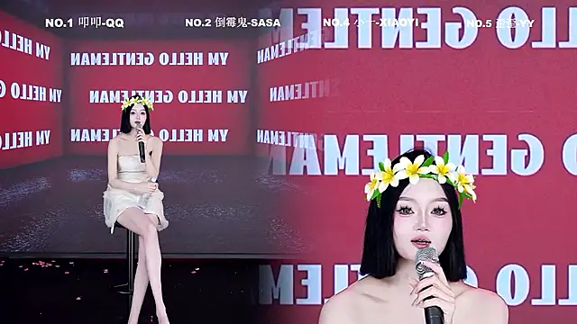 TY-002 webcam
