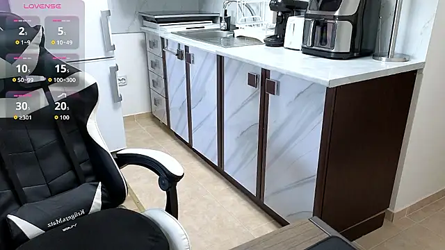RyanStorm_ webcam
