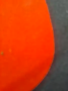 molozeb webcam