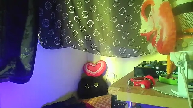 Guyst049 webcam