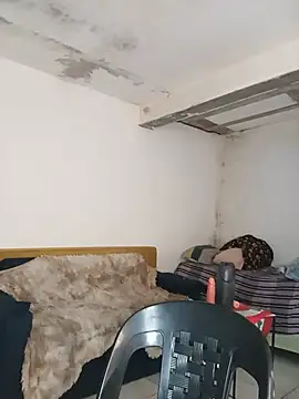 TransBollat webcam