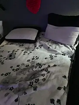 Mohdollmen webcam