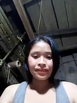 Liss-mimi webcam