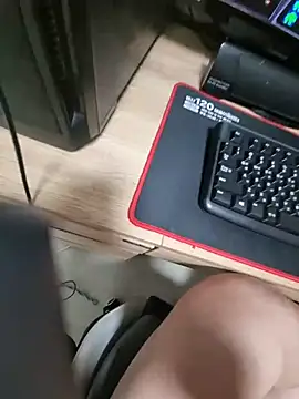 leegop webcam