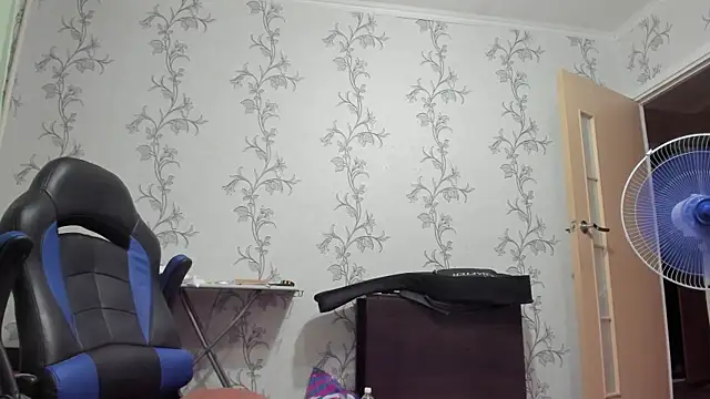 SanFrantsisko webcam