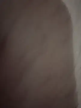 _NAUJ webcam
