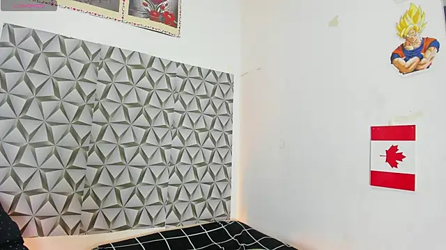 Benjamin_lich webcam