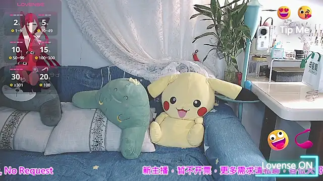 xaryu webcam