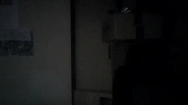 naodanuki webcam