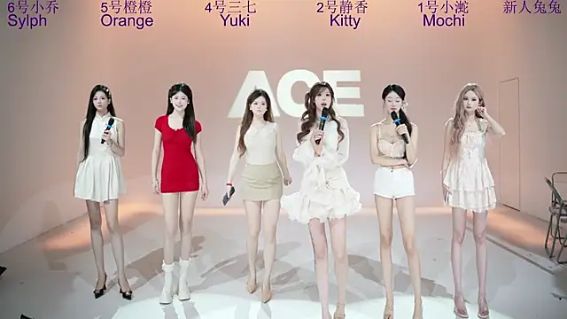 ACE-101 webcam