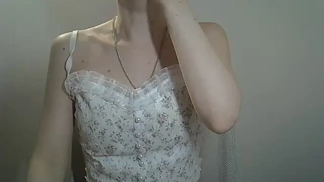 ViraVrema webcam