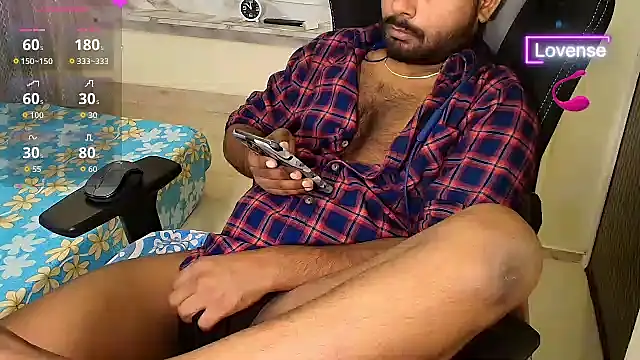 SilverShade3 webcam