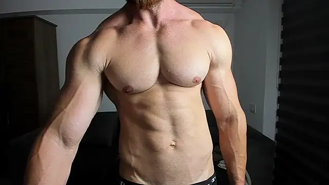 ZkkBlitz webcam