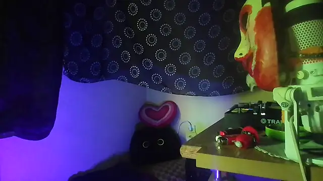 Guyst049 webcam