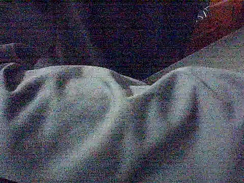 Kunbet webcam