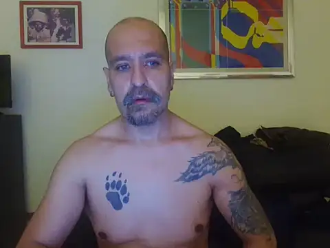 AMIRDIB2025 webcam