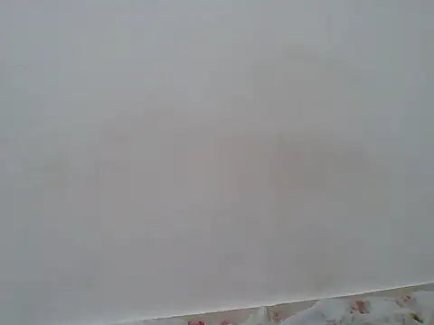 hotty_assy webcam