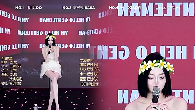 TY-002 webcam
