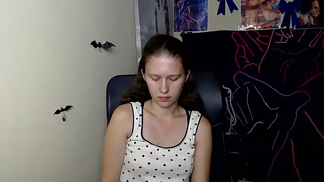 StellaCRL webcam
