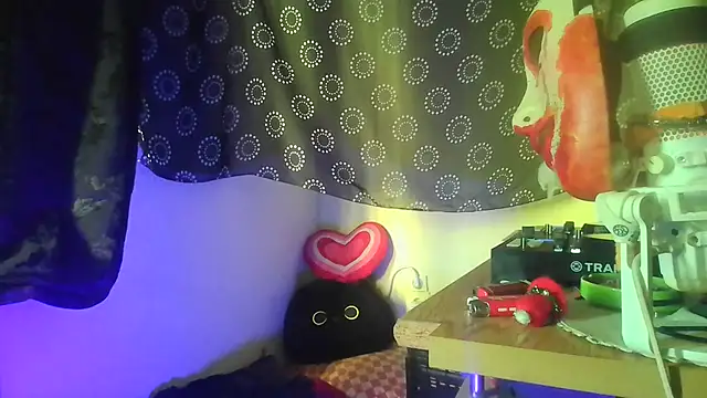 Guyst049 webcam