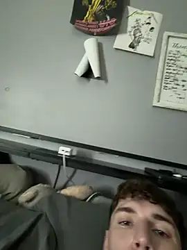 Bradgetshard2 webcam