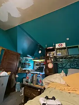 charactrzero webcam