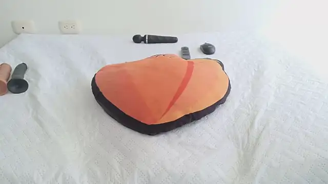 grey___27 webcam