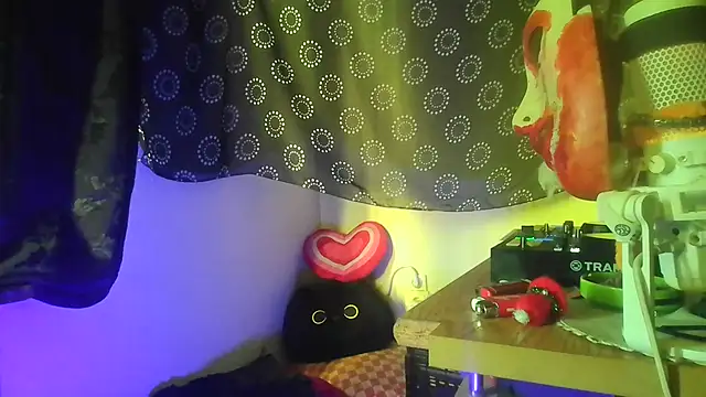 Guyst049 webcam