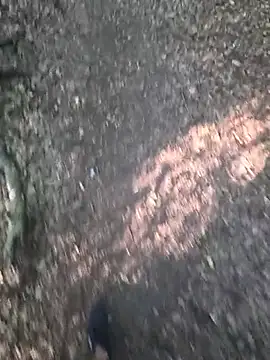 Nero19933 webcam