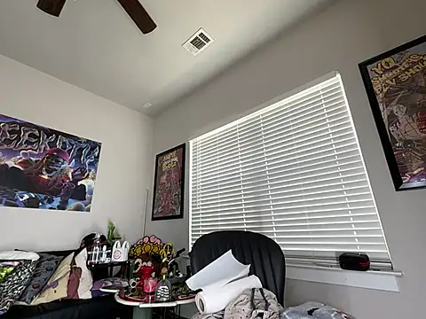 4EVAGLACIERS webcam