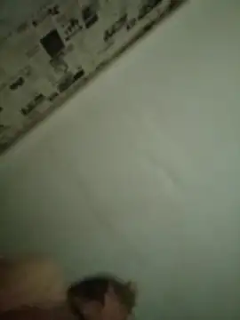 Saysomething3 webcam