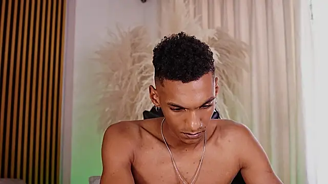 JulienSaint webcam