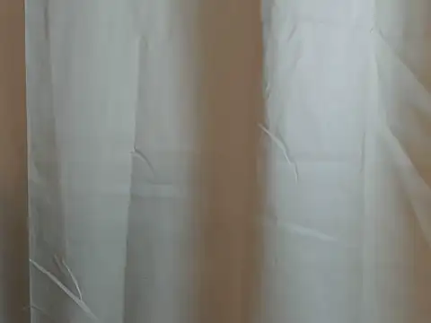 Derek_y_nesly webcam