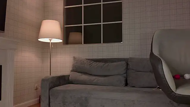 WelliCaren webcam