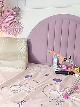 Nalapalmer webcam