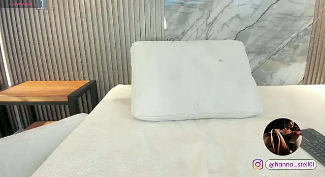 hanna_steel webcam